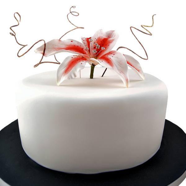 Stargazer Lily | Cake, Lily cake, Flower cake